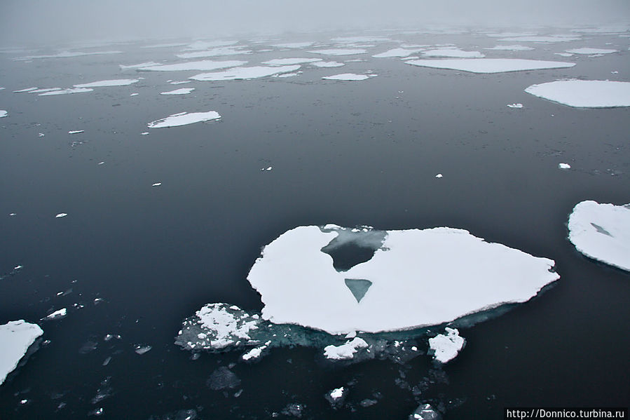 мистический треугольник, он же арктический треугольник... Земля Франца-Иосифа архипелаг, Россия