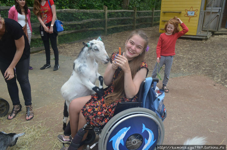 Зоопарк Зоопарк