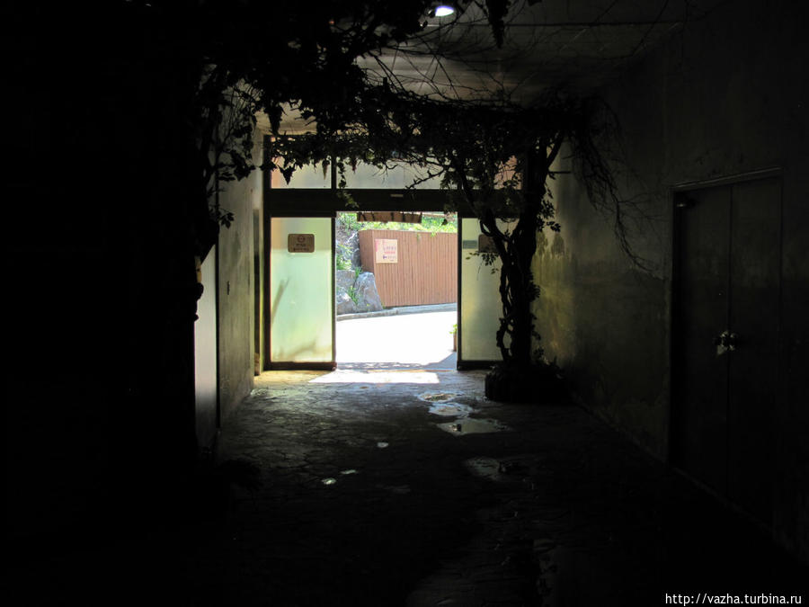 Зоопарк Сеула. Вторая часть. Сеул, Республика Корея Зоопарк Сеула. Вторая часть. Сеул, Республика Корея