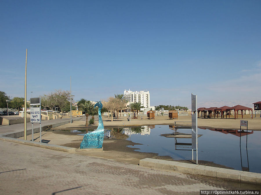 Немного лета среди зимы или около трёх часов на Мертвом море Эйн-Бокек, Израиль