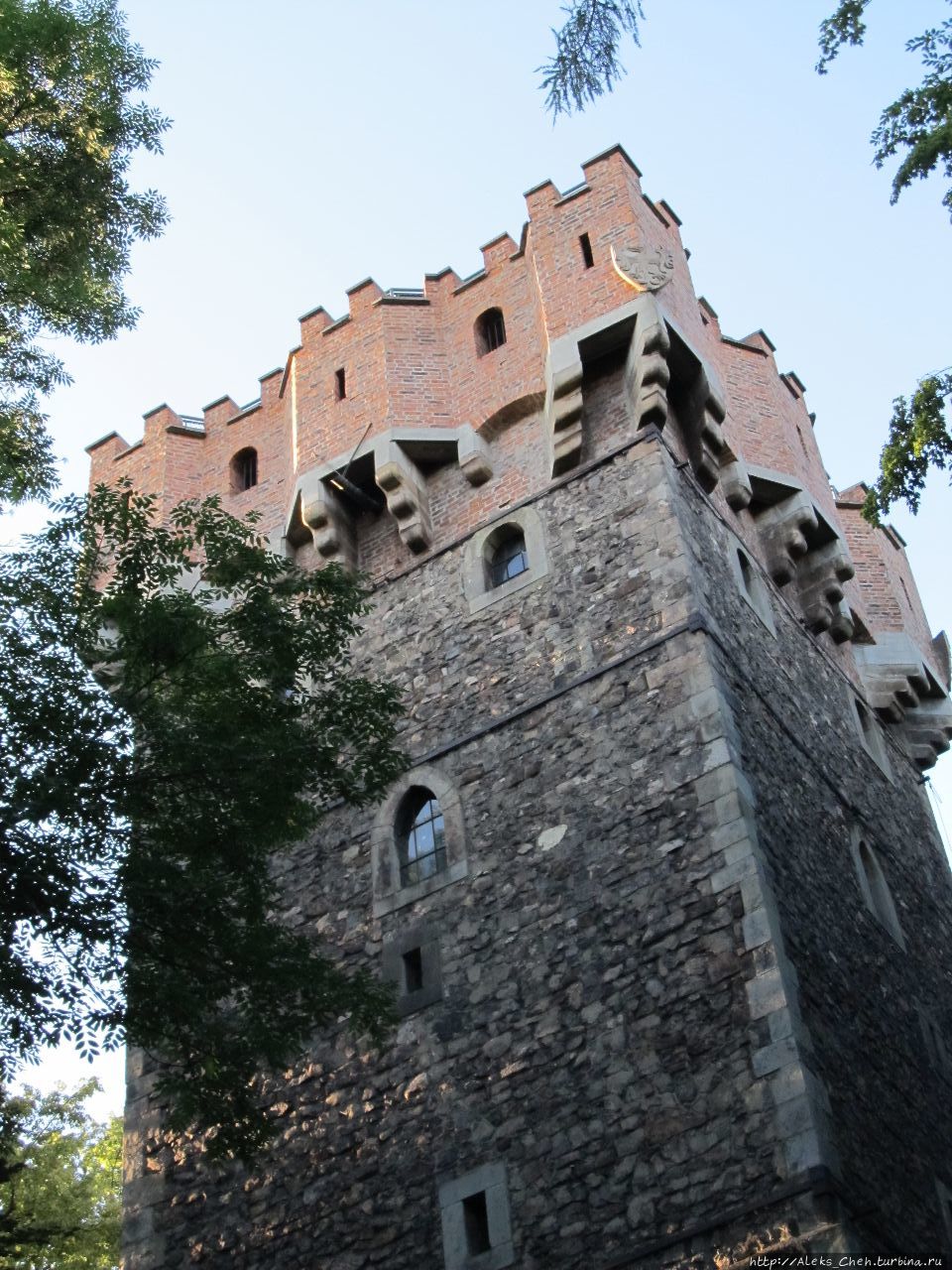 Непрезентабельный Замок как повод похода за границу Цешин, Польша