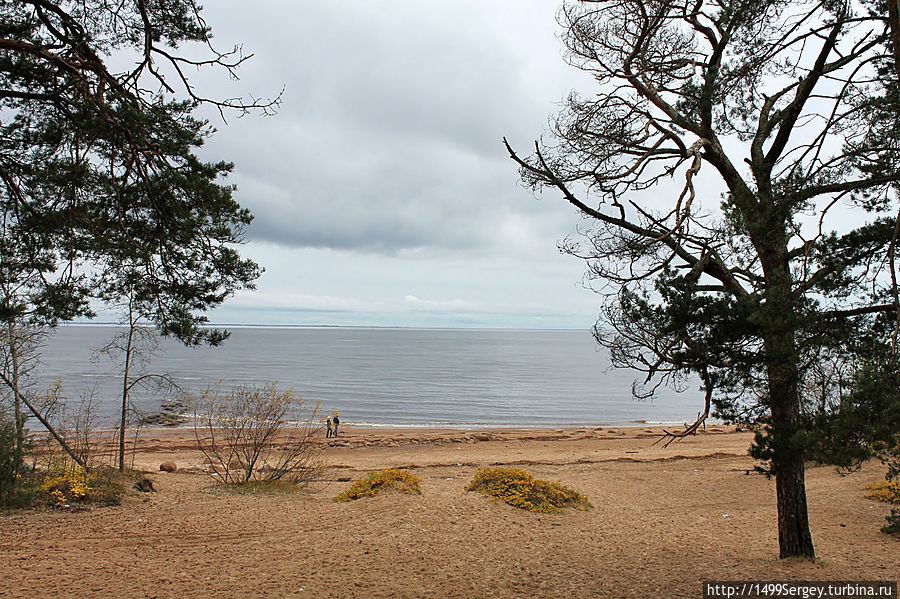 На берегу Финского залива. На берегу Финского залива.