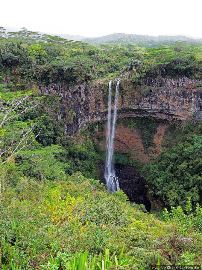 Шамарель водопад Шамарель, Маврикий