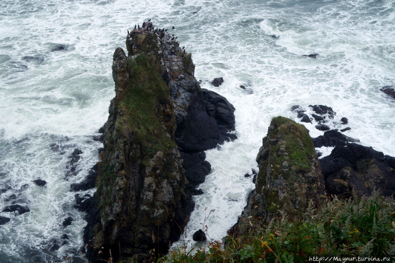 Берег и Волна. Мыс Евстафия... Евстафия мыс, Россия Берег и Волна. Мыс Евстафия... Евстафия мыс, Россия