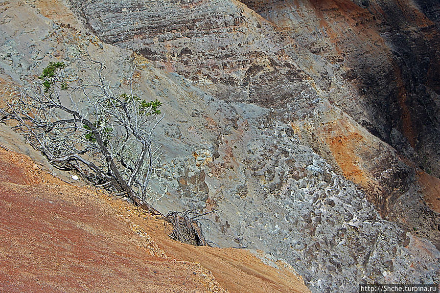 Ваймеа (Waimea Сanyon) — Великий Тихоокеанский каньон Каньон Ваймеа Парк Штата, CША