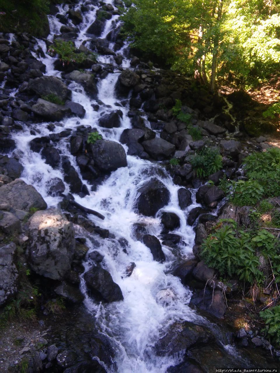 Молочный водопад Рица Реликтовый Национальный Парк, Абхазия