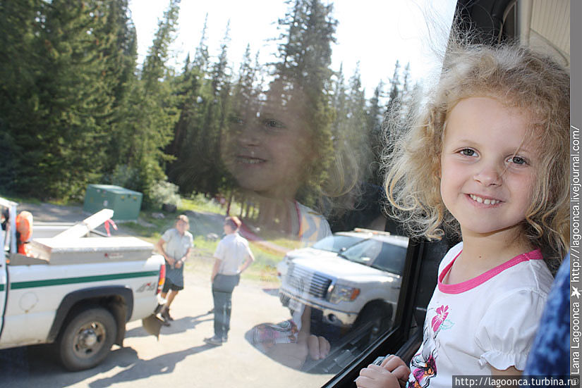 Наблюдаем в окно автобуса как лесные спец службы собираются загонять гризли назад в лес. Наблюдаем в окно автобуса как лесные спец службы собираются загонять гризли назад в лес.