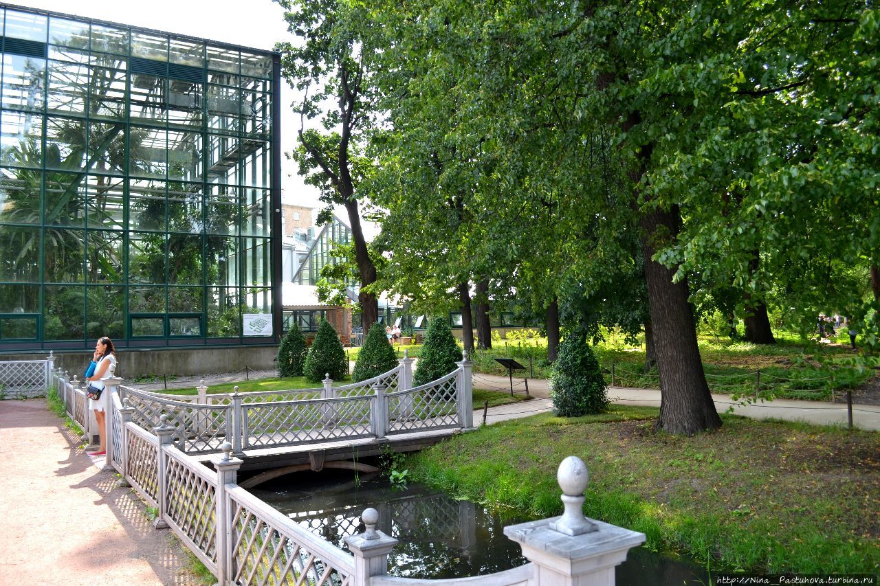 Ботанический сад МГУ 