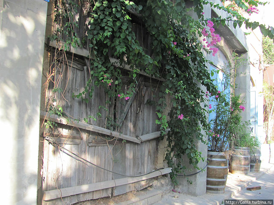 Старые старые ворота. Яффо, Израиль