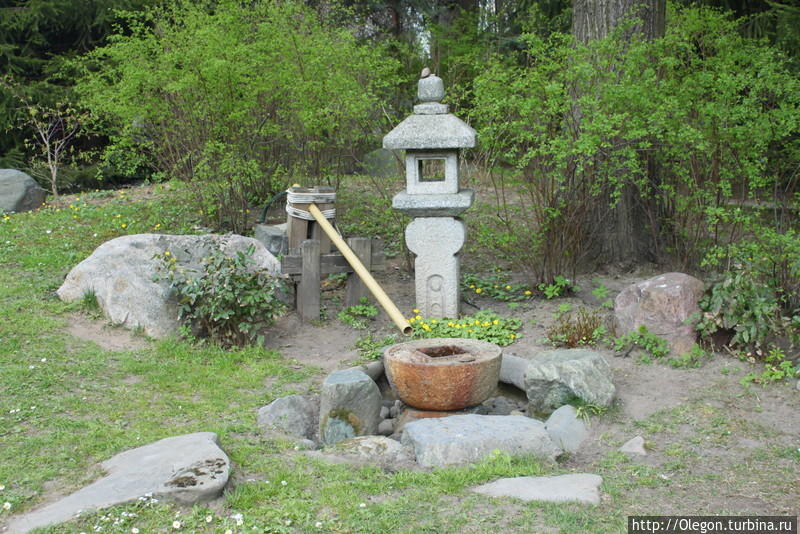 Японский сад в Москве Москва, Россия