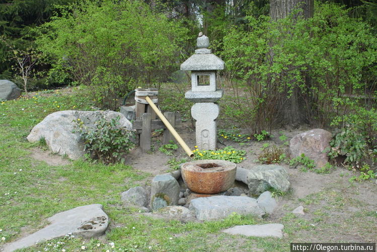 Японский сад в Москве