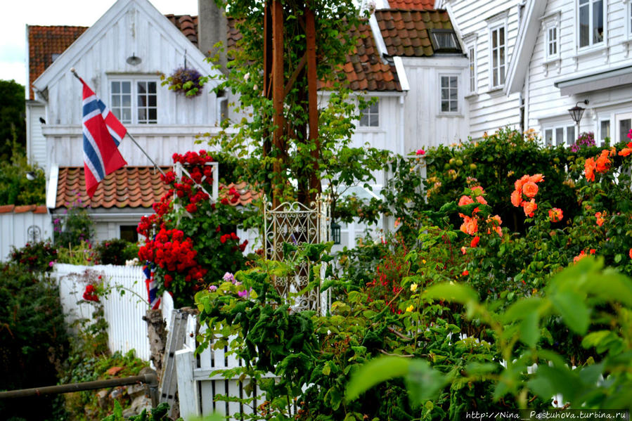 Ставангер. Район белых домов и моря цветов Ставангер, Норвегия