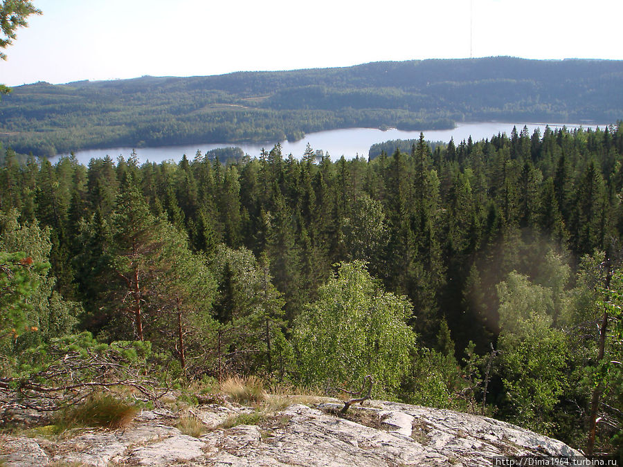 И открывается панорама на озеро Сауналампи Коли Национальный Парк, Финляндия