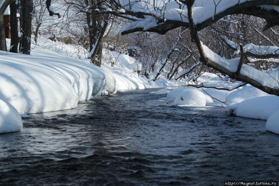 Городская речка Излучная. В ней течет чистая, прозраяная вода. Южно-Сахалинск, Россия