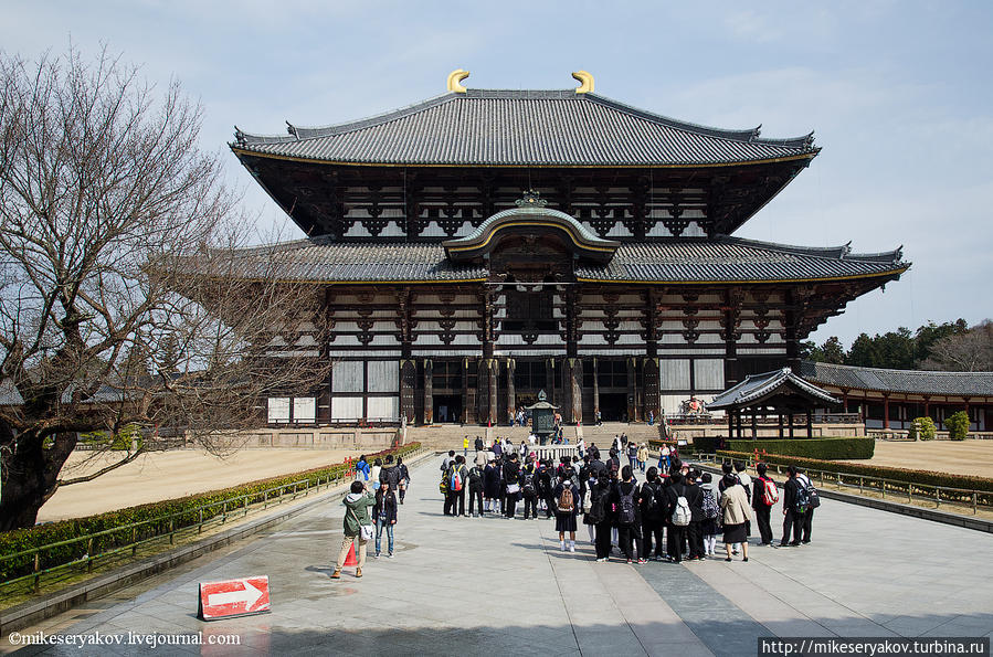 Храм Тодай-Дзи в Наре Нара, Япония