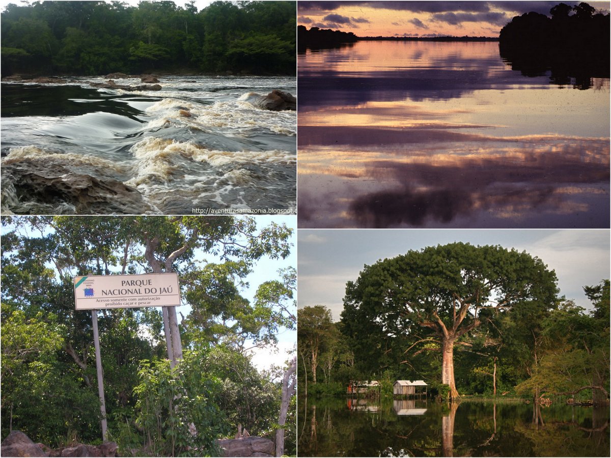 ВЭБра-2018, дни 42-45: штат Амазонас ч.2 Штат Амазонас, Бразилия ВЭБра-2018, дни 42-45: штат Амазонас ч.2 Штат Амазонас, Бразилия