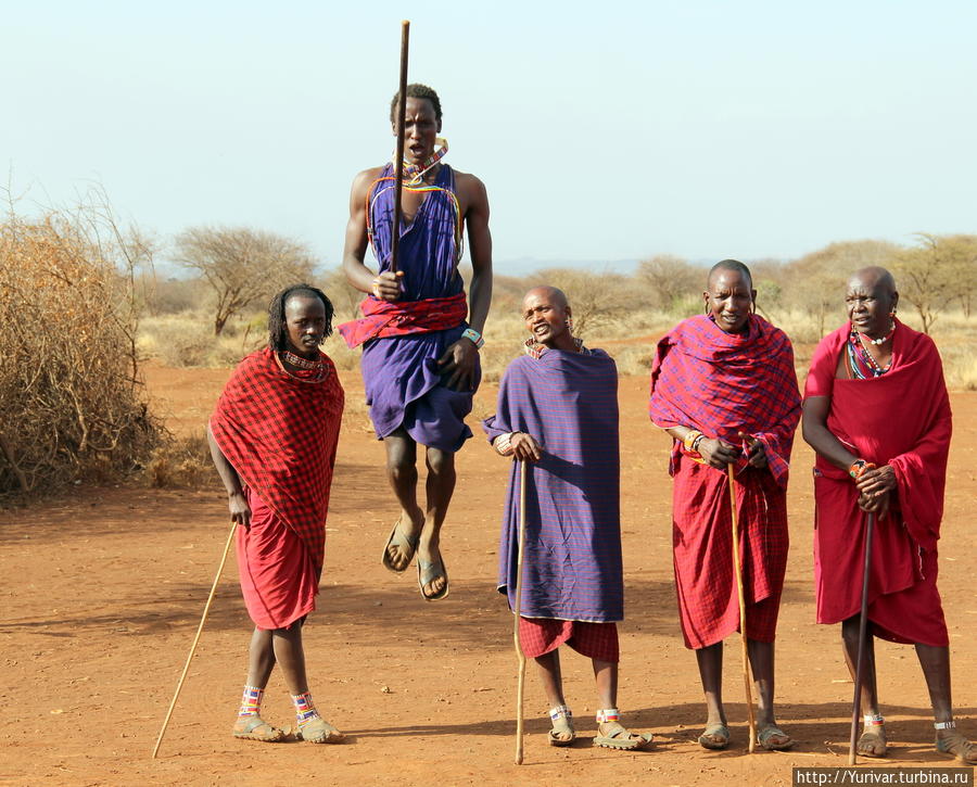 танцы воинов Масаи Кения