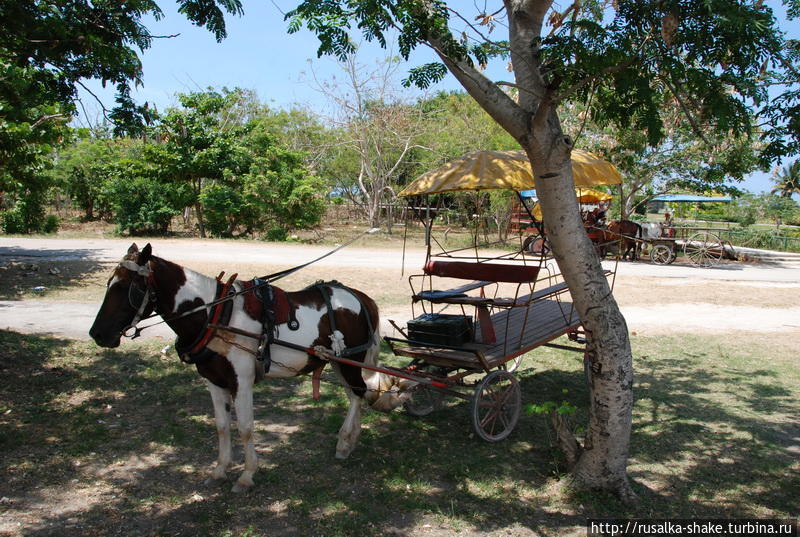 Завод рома и все, что рядом Санта-Крус-дель-Норте, Куба