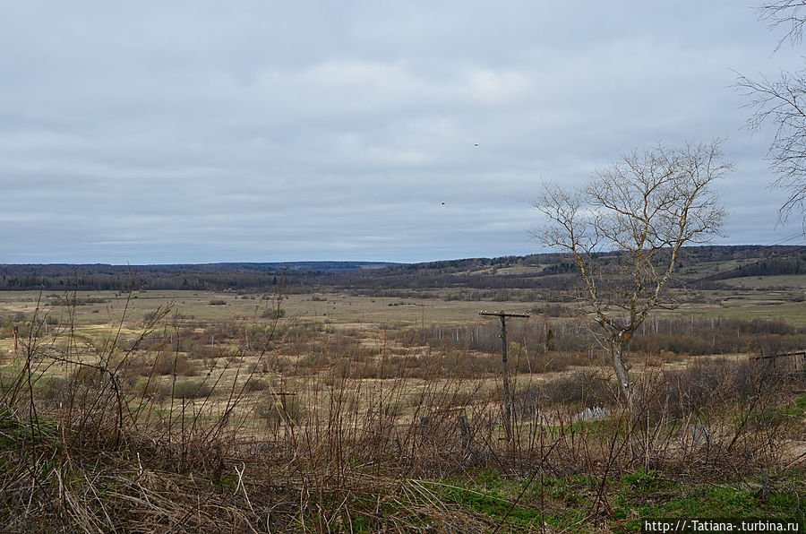 Грачи прилетели Костромская область, Россия Грачи прилетели Костромская область, Россия