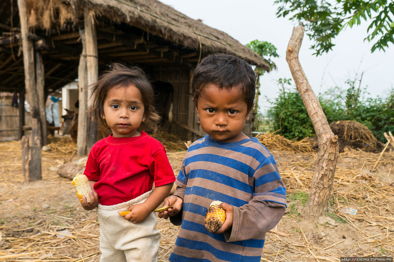 Дети Непала Непал Дети Непала Непал