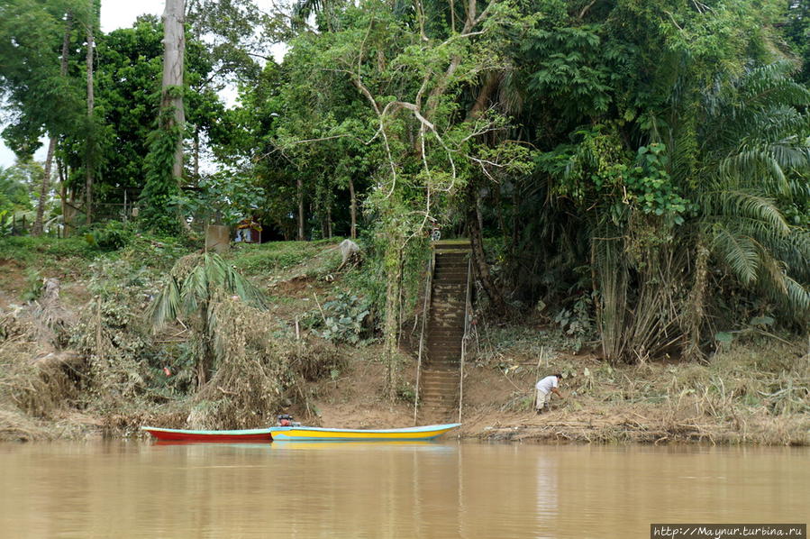 Джунгли  вплотную  подступают  к  воде,  но  они  не  пустые. Встречались  и  жилье,  и  люди. Куала-Лумпур, Малайзия