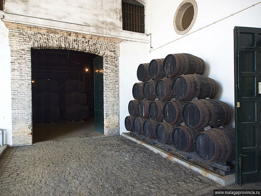 Бочки с вином двухсотлетней давности Кордова, Испания