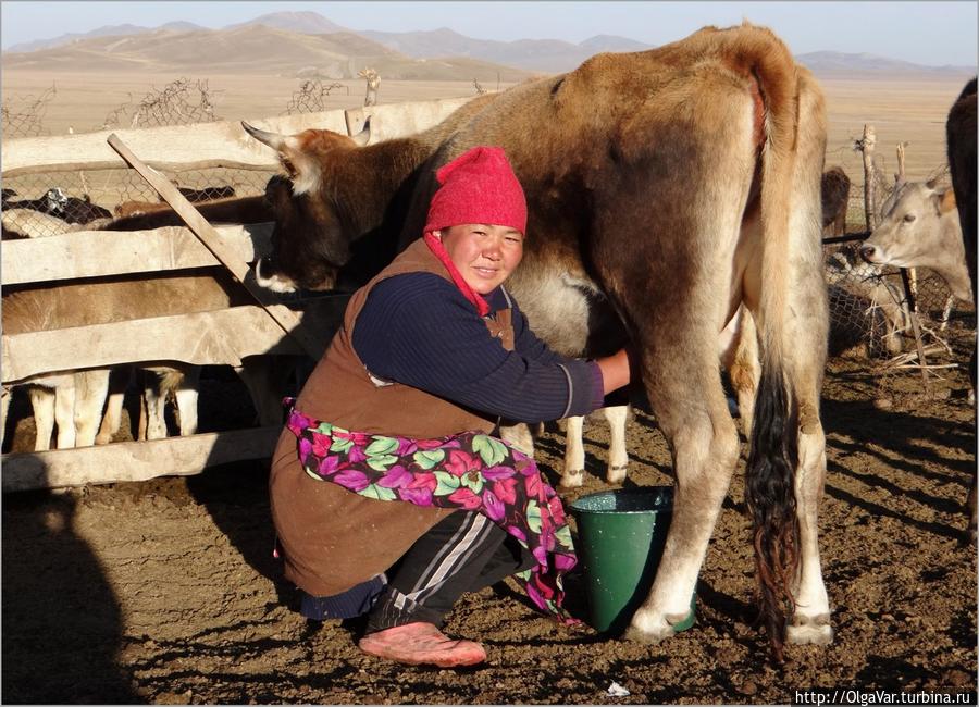 Ну, как чабану обойтись без помощницы Озеро Сон-Куль, Киргизия