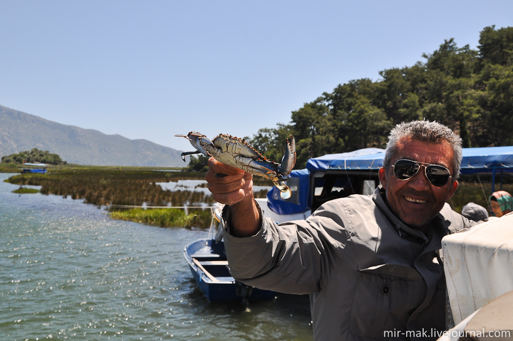 Лодочник показывает огромного голубого красавца, который вскоре пойдет на лакомство черепахам. Кстати этот вид краба водится только в здешних местах, а во всем мире считается деликатесом и изысканным лакомством. Местные рыбаки предлагают отведать его и туристам, всего за 5 долларов, его Вам приготовят и подадут на обратном пути после отдыха на пляже. Другое дело, что находясь в Турции, на условиях все включено – кушать, хочется редко, поэтому мало кто их заказывает. Дальян, Турция Лодочник показывает огромного голубого красавца, который вскоре пойдет на лакомство черепахам. Кстати этот вид краба водится только в здешних местах, а во всем мире считается деликатесом и изысканным лакомством. Местные рыбаки предлагают отведать его и туристам, всего за 5 долларов, его Вам приготовят и подадут на обратном пути после отдыха на пляже. Другое дело, что находясь в Турции, на условиях все включено – кушать, хочется редко, поэтому мало кто их заказывает. Дальян, Турция