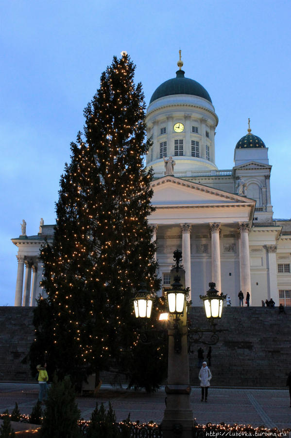 Рождественская Ель -2014 и Лютеранский кафедральный собор на Сенатской площади Хельсинки. Хельсинки, Финляндия
