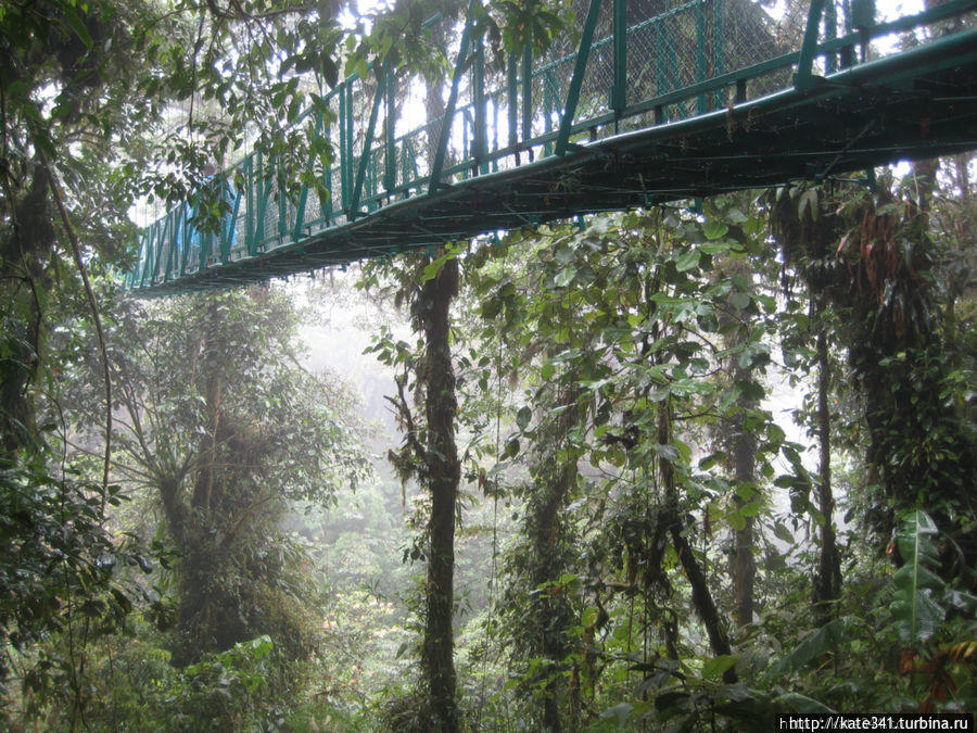 У подножия Ареналя. Облачный лес и комната номер Ноль Фортуна, Коста-Рика