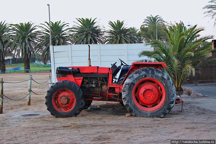 Два счастливых дня в Уолфиш-Бей. Уолфиш-Бей, Намибия Два счастливых дня в Уолфиш-Бей. Уолфиш-Бей, Намибия