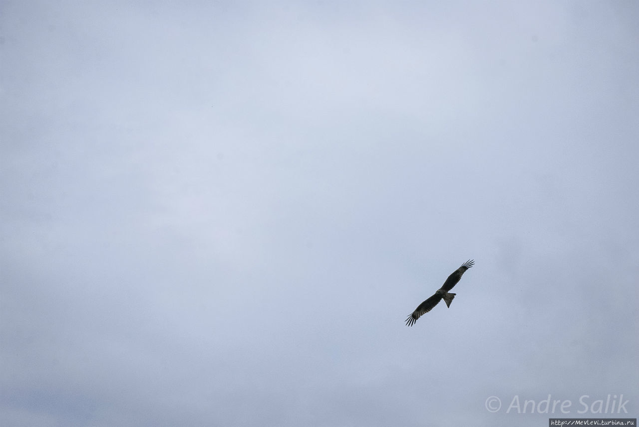 Хари Парбат Форт Шринагар, Индия Хари Парбат Форт Шринагар, Индия