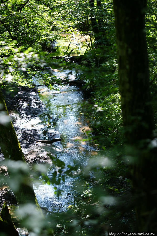 Штутгарт. Парк Штутгарт. Парк