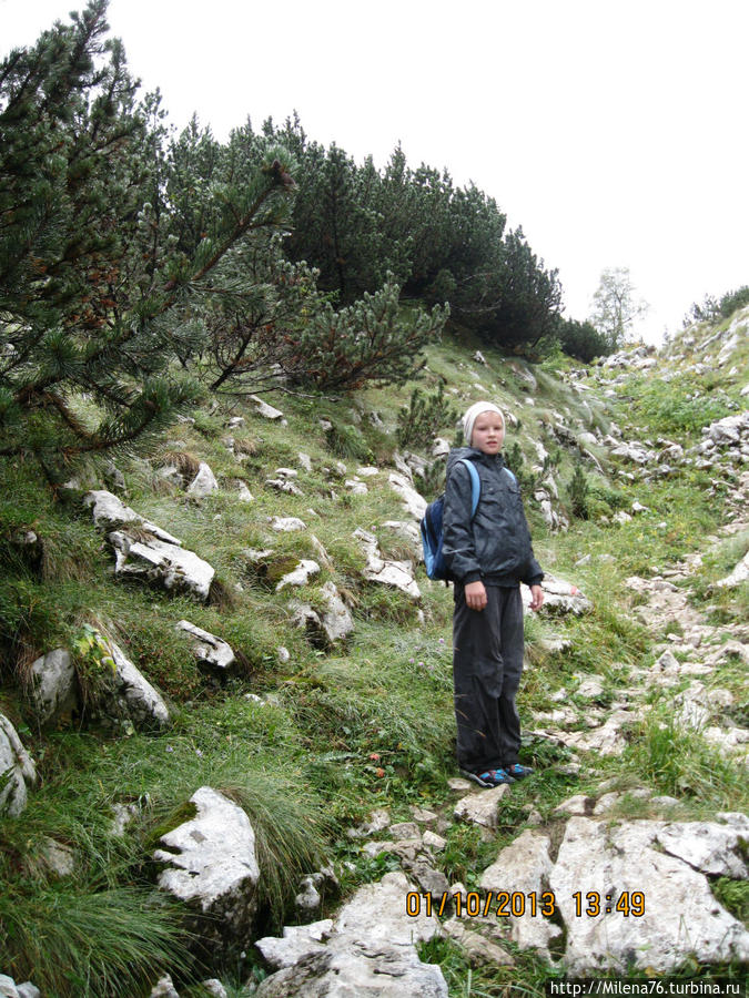 Дурмитор. Жаркий путь в Ледяную пещеру. Каньон реки Тара. Жабляк, Черногория Дурмитор. Жаркий путь в Ледяную пещеру. Каньон реки Тара. Жабляк, Черногория