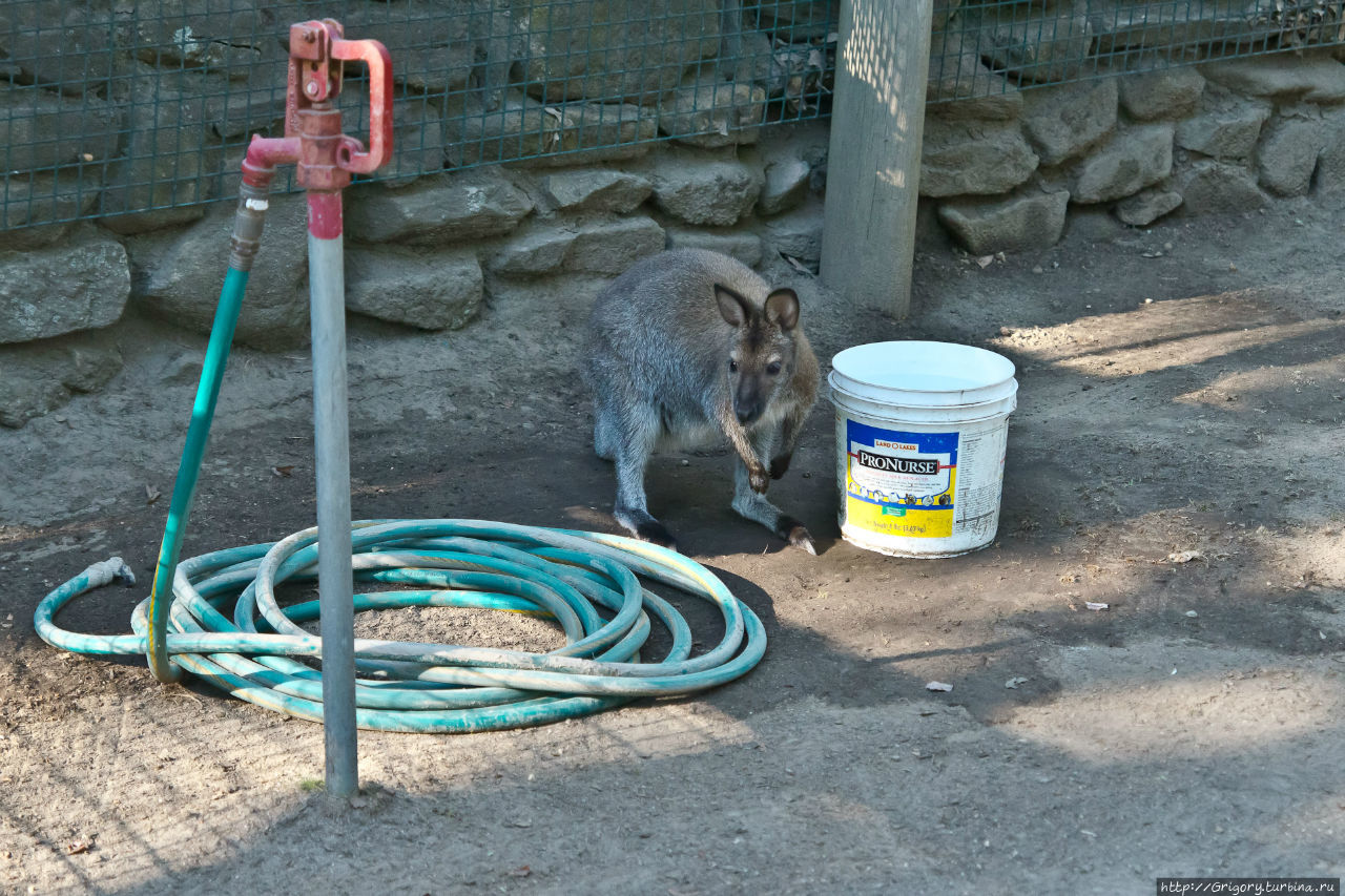 Зоопарк в SOUTHWICK, MA Саусвик, CША Зоопарк в SOUTHWICK, MA Саусвик, CША