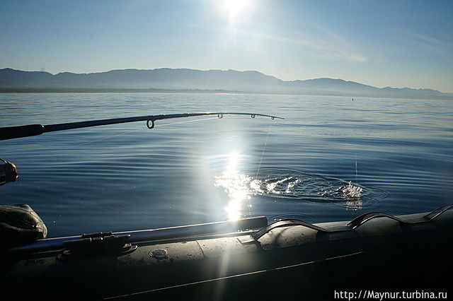 Вот такая рыбалка Южно-Сахалинск, Россия Вот такая рыбалка Южно-Сахалинск, Россия