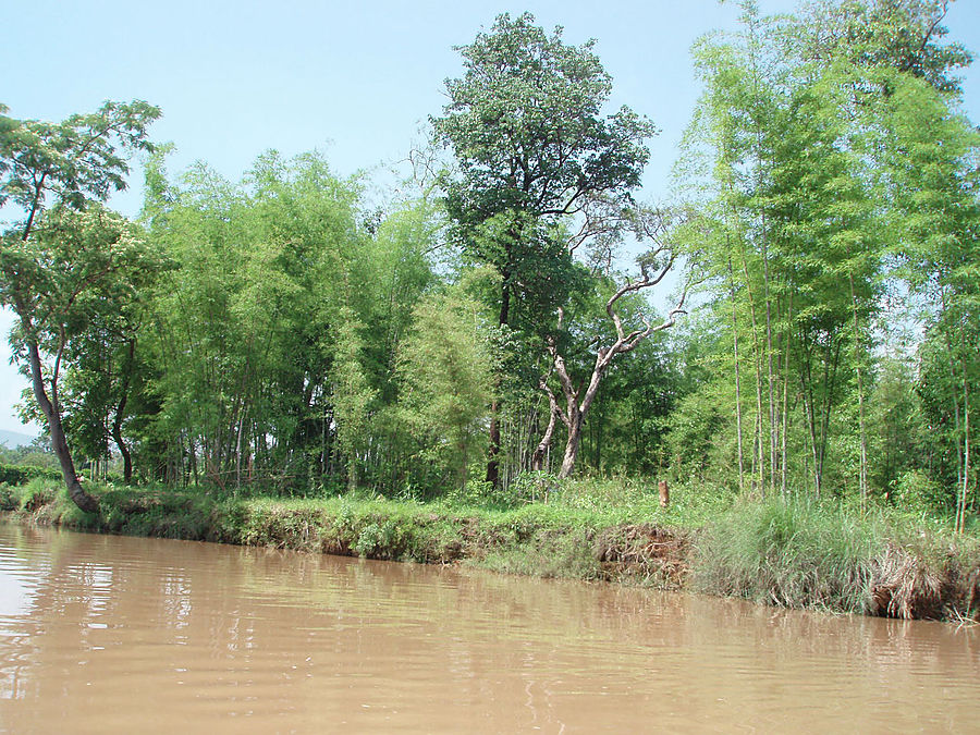 Индейн Озеро Инле, Мьянма Индейн Озеро Инле, Мьянма