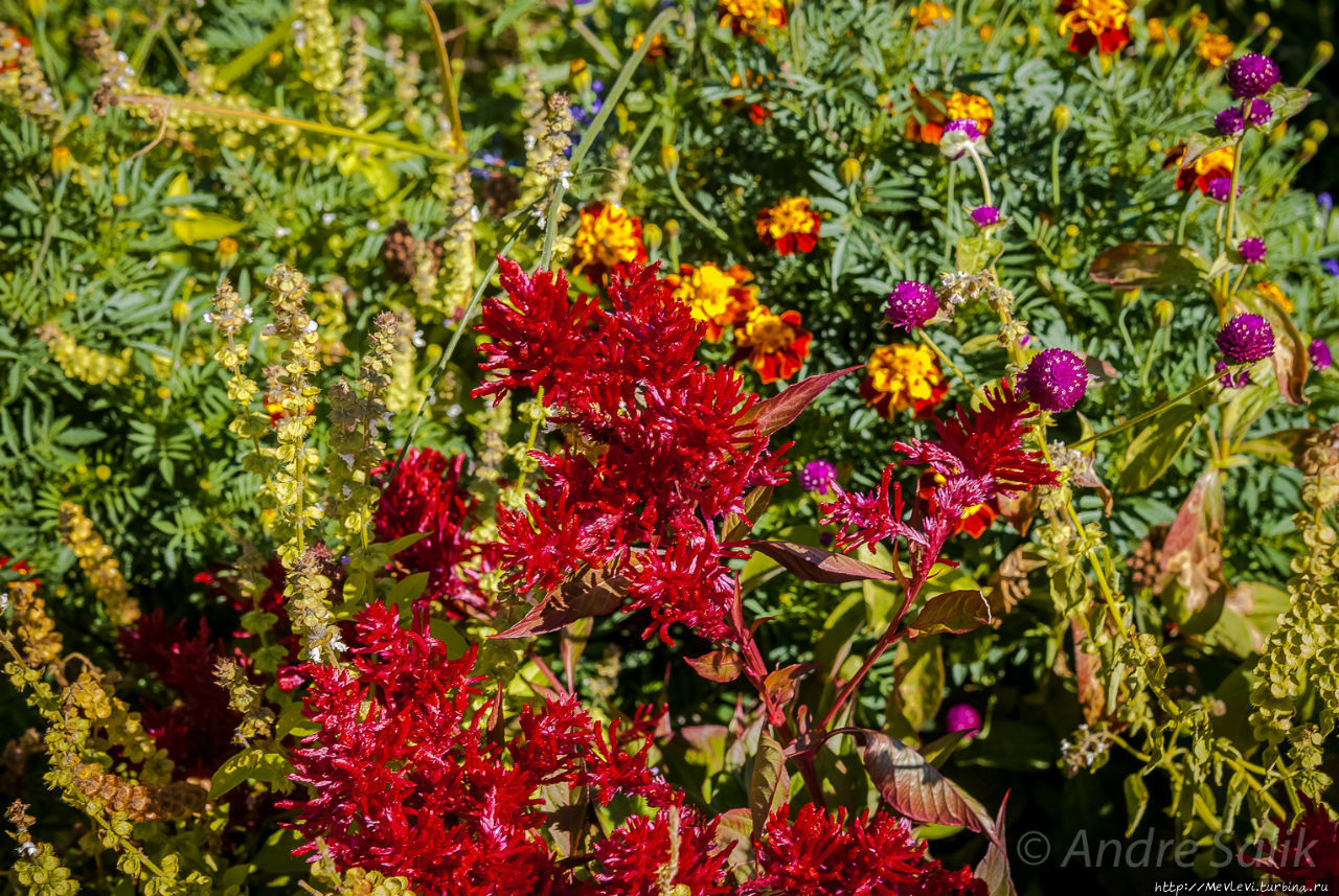 Прогулка в саду Хенералифе Альхамбра, Испания Прогулка в саду Хенералифе Альхамбра, Испания