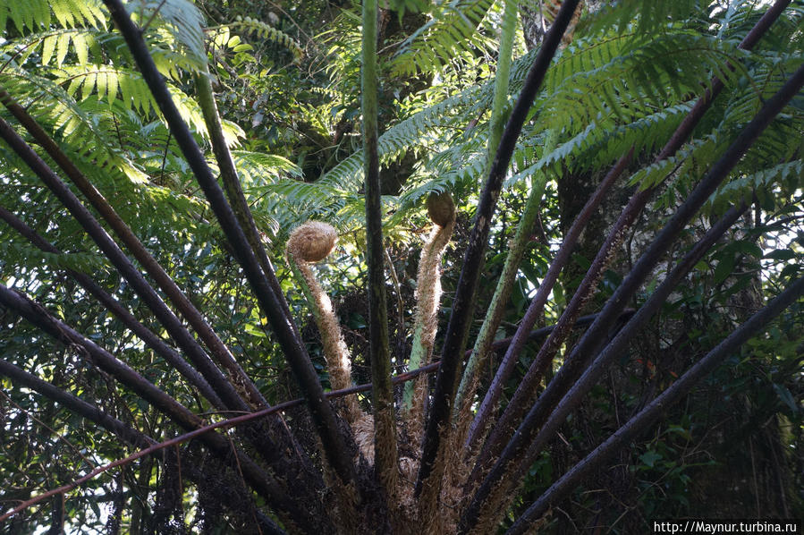Вулкан Патуха — уснувший вулкан... Бандунг, Индонезия Вулкан Патуха — уснувший вулкан... Бандунг, Индонезия