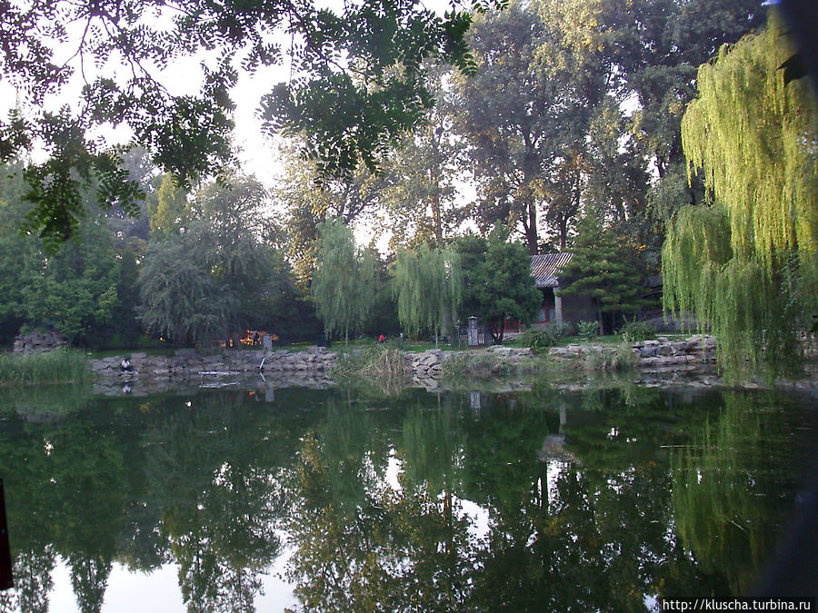 Этот небольшой пруд тянется вдоль ограды дворца. Там не только отдыхают, но и можно ловить рыбу Этот небольшой пруд тянется вдоль ограды дворца. Там не только отдыхают, но и можно ловить рыбу