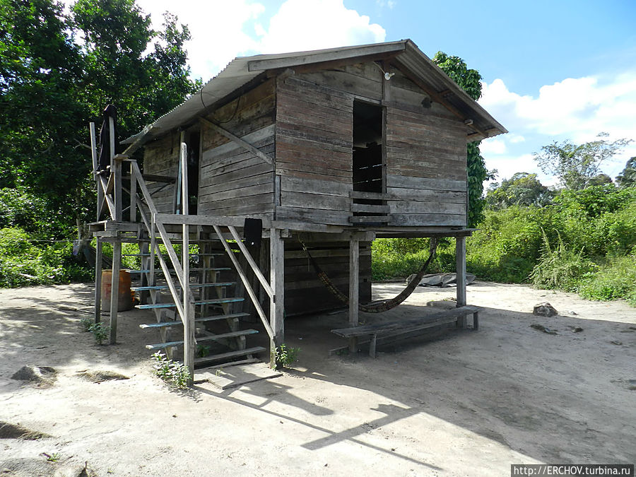 Дальние страны. Часть 6. Деревня Карупукари Регион Потаро-Сипаруни, Гайана