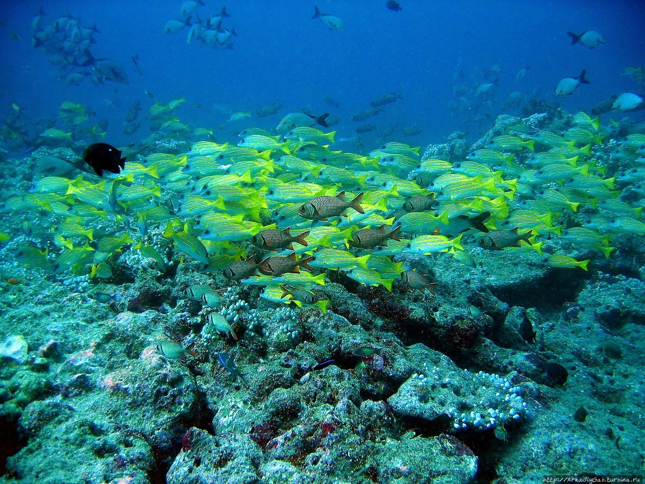 Хорошо еще, если такого Хорошо еще, если такого