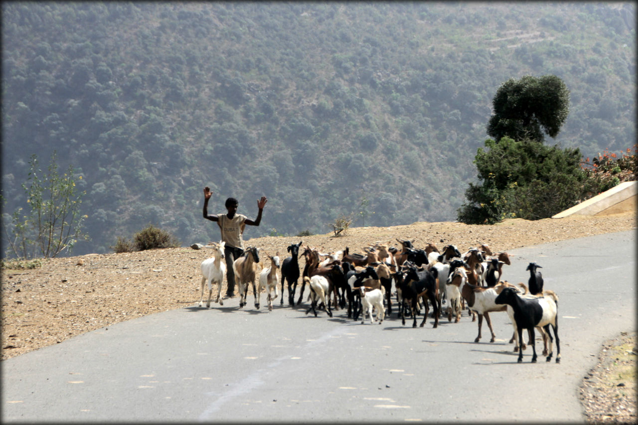 Пейзажи змеиной дороги Северная провинция Красного Моря, Эритрея