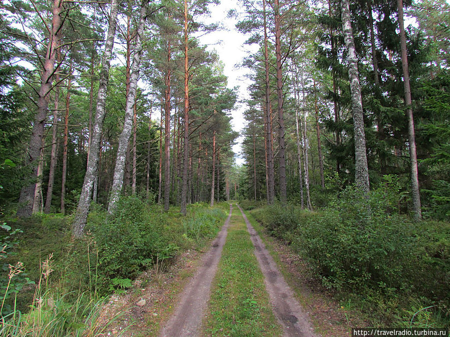 Микельторнис Латвия Микельторнис Латвия