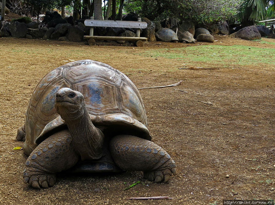 Ля-Ваний Резерв-де-Маскарейн / La Vanille Réserve des Mascareignes