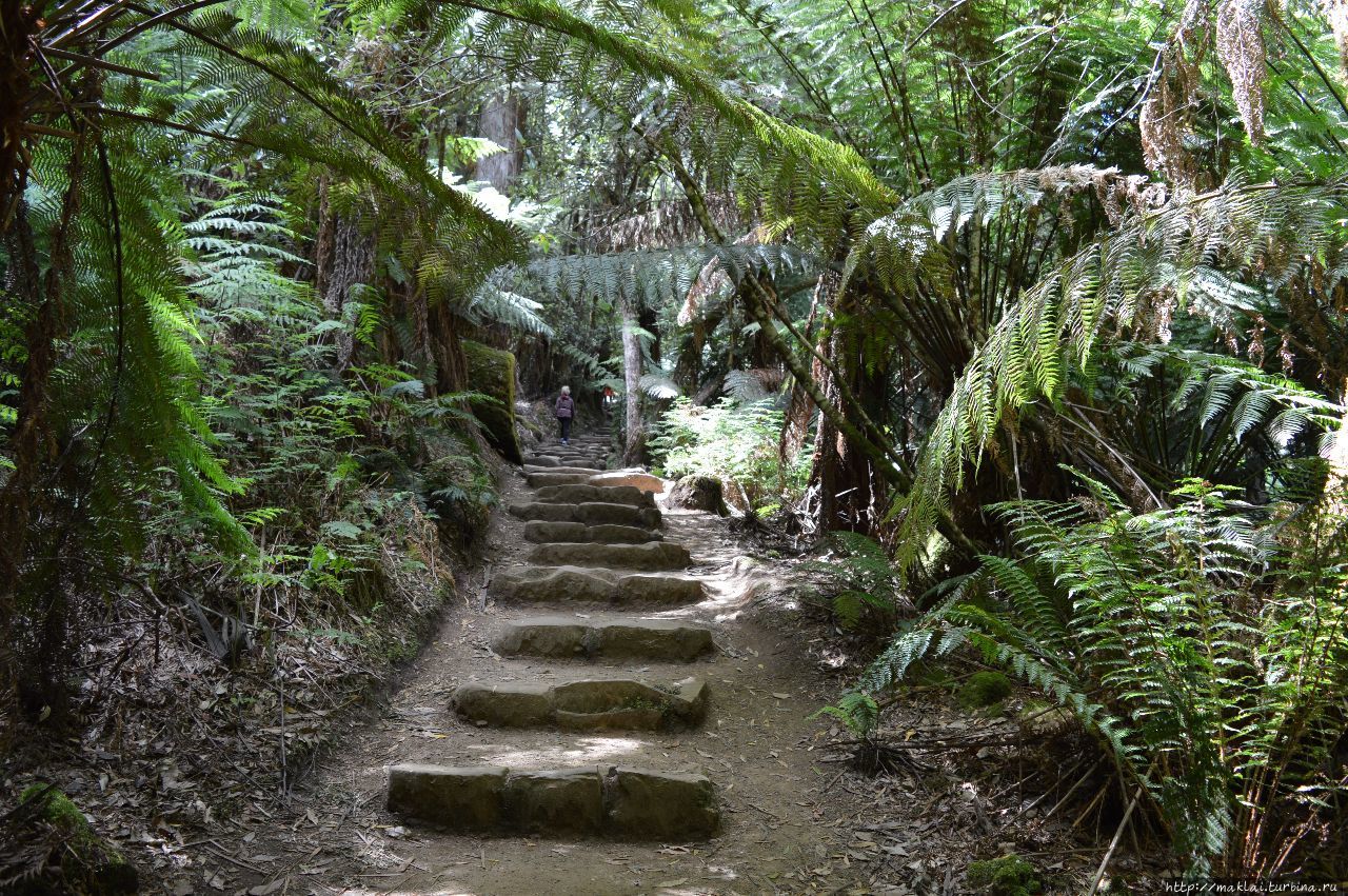 Водопад Рассел Национальный парк Маунт Филд, Австралия