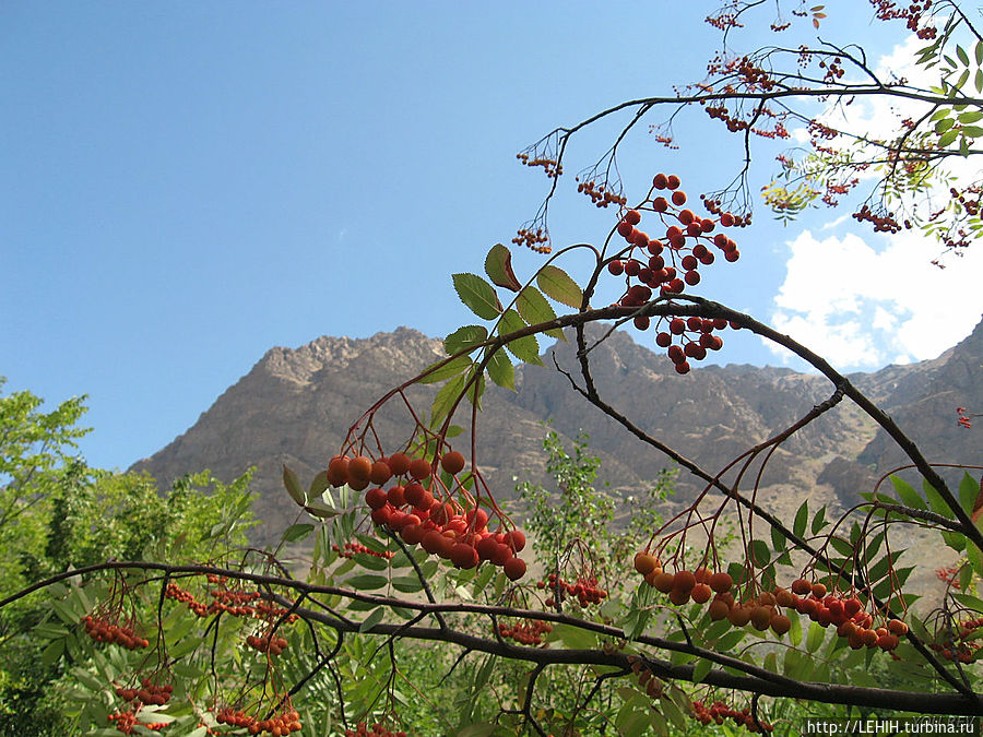 Ботанический сад Хорог, Таджикистан