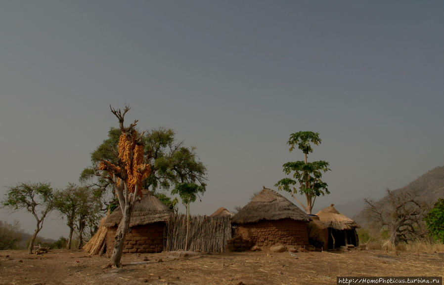Селение кома в безбожных горах Тчамба, Камерун