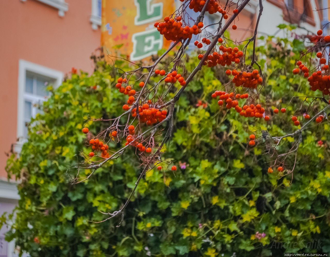 Перед Рождеством в Риге Рига, Латвия Перед Рождеством в Риге Рига, Латвия