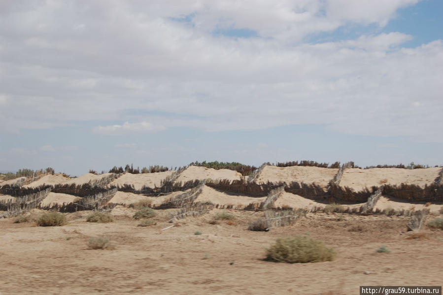 Жители защищаются от наступления пустыни Сахары Вилайет Таузар, Тунис